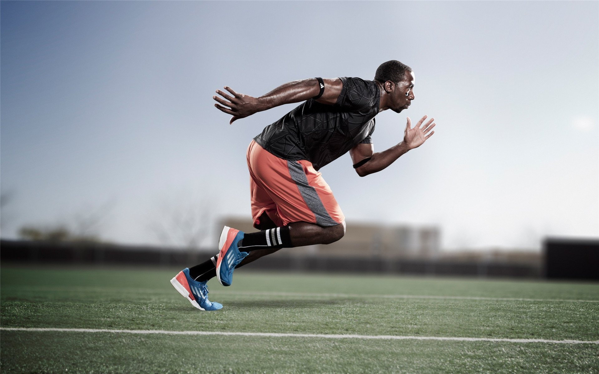 绿茵场与篮球馆的周末交响,德甲争冠焦点战与鹈鹕轻取开拓者的双重视角